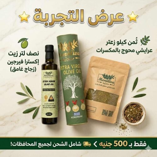 Business Suite_creation_4041008789535171 عرض التجربة للعملاء الجدد